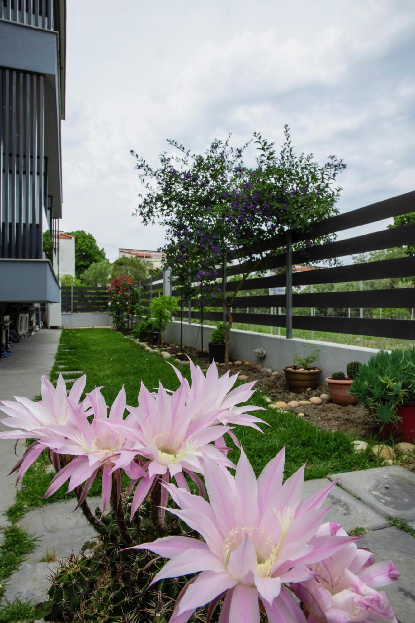 Artemida Suites Hanioti Ngoại thất bức ảnh